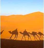 物聯卡應用，物聯網卡、物聯卡用于在線監控系統