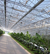 物聯卡應用，物聯網卡、物聯卡用于遠程大鵬監控系統